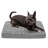 Orthopedic Polyester Pet Bed-51304729-51304730