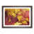 Walnut Framed selected