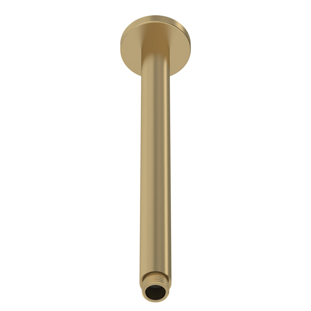 Ceiling-Mounted Arm