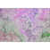 Premium Machine Washable Cerrito AMF500 Purple Rug
