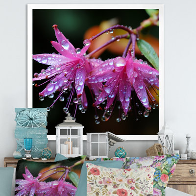 Garden Hardy Fuchsia Plants III - Fuschia Wall Art