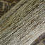 Tapis oriental brun / gris touffeté à la main Shawsheen-985286277