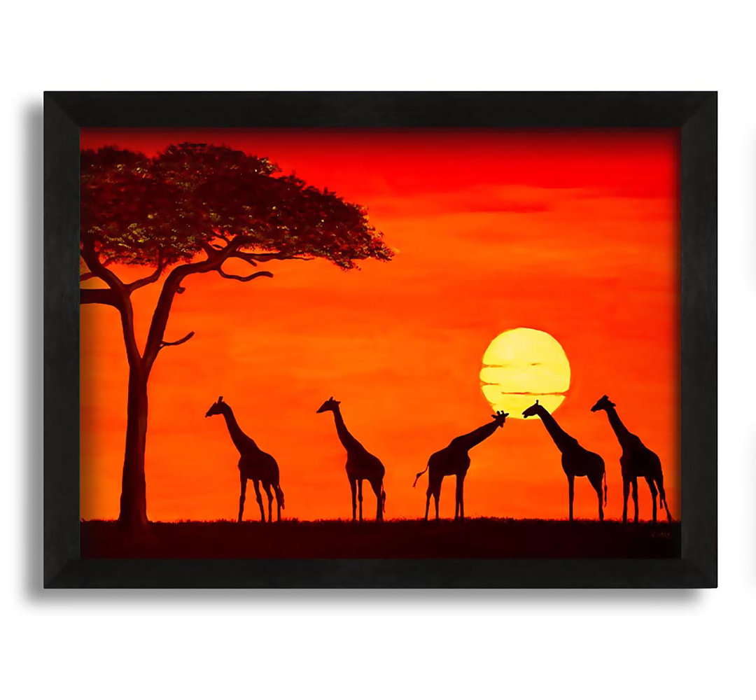 Gerahmtes Leinwandbild Giraffes at the Sunset