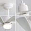 Ventilateur de plafond 52 pouces avec lumière à DEL à intensité variable et 5 pales en bois massif