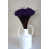 Purple is out of stock selected