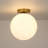 9.8 in. 1-Light Modern Globe Flush Mount