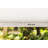  POP Cellular Shade Light Filtering White/Ivory/Mocha-1771435963-1771435940