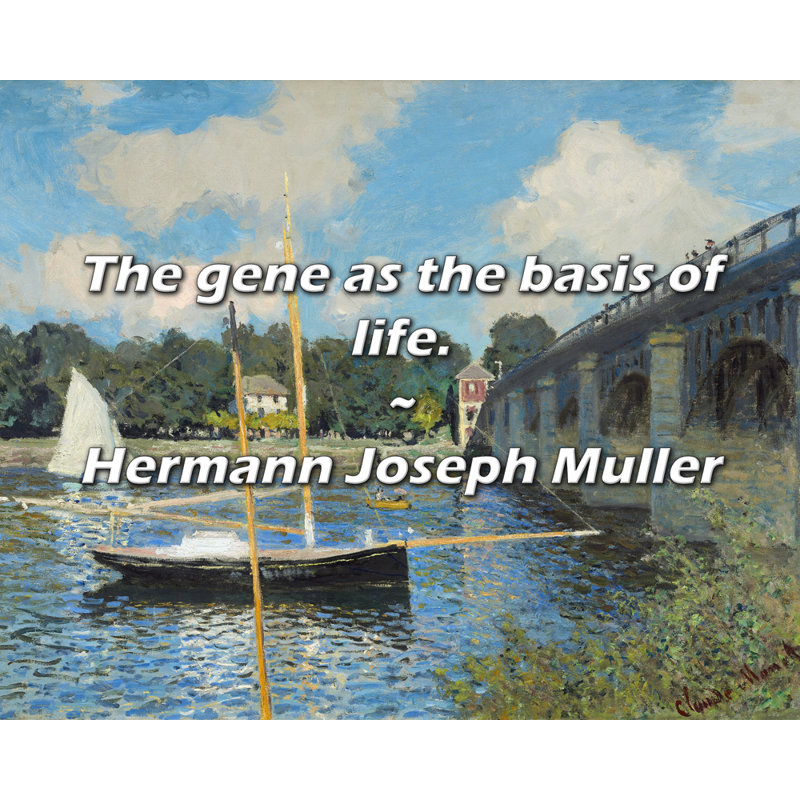 Hermann Joseph Muller Quote: The gene as the basis of life.