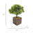 Faux Bonsai Plant and Tree