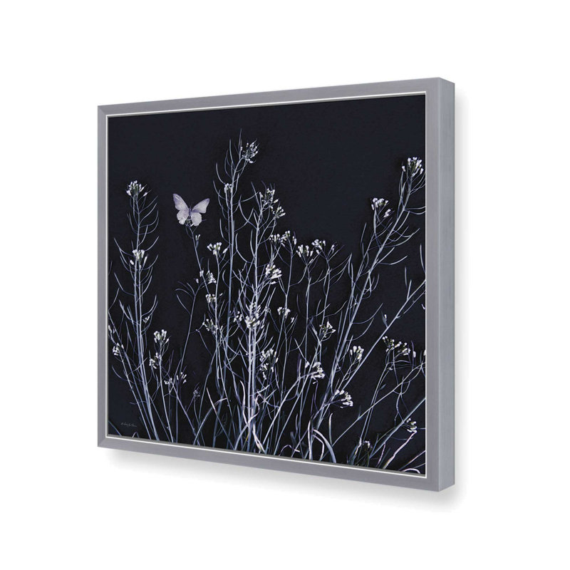«Butterfly Garden I» par Robin-Lee Vieira, reproduction d'art, Silver, 20 W x 20 H, Framed Print