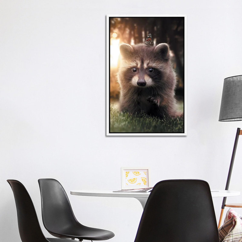 Raccoon Butterfly by Zenja Gammer - Print on Canvas, White Framed, 101.6 cm H x 66.04 cm W