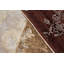 Paradise Hand Knotted Area Rug in Brown