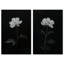 Moonlit Bloom Duet Canvas Print Black Floral Art Set by Art Remedy, Black Frame, 10 x 15-1185770579-1185770596