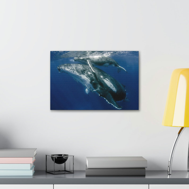 «Whale Couple», impression d'art mural, H 12 po x l 18 po