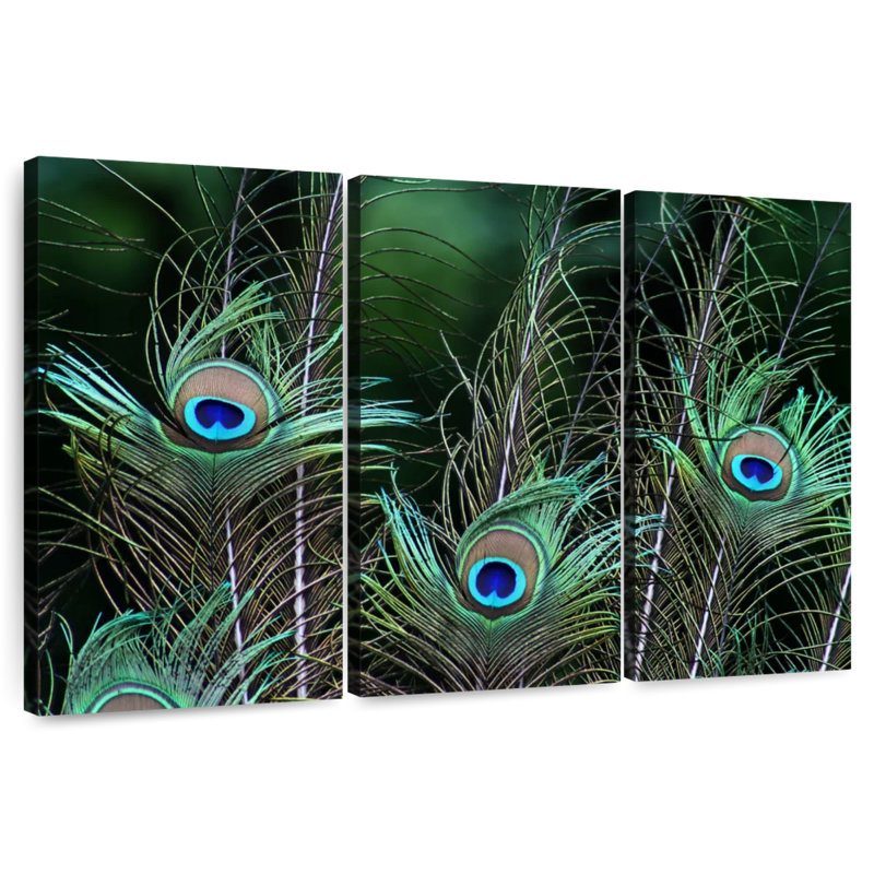 Plumes de paon ornées, H 28 po x l 45 po