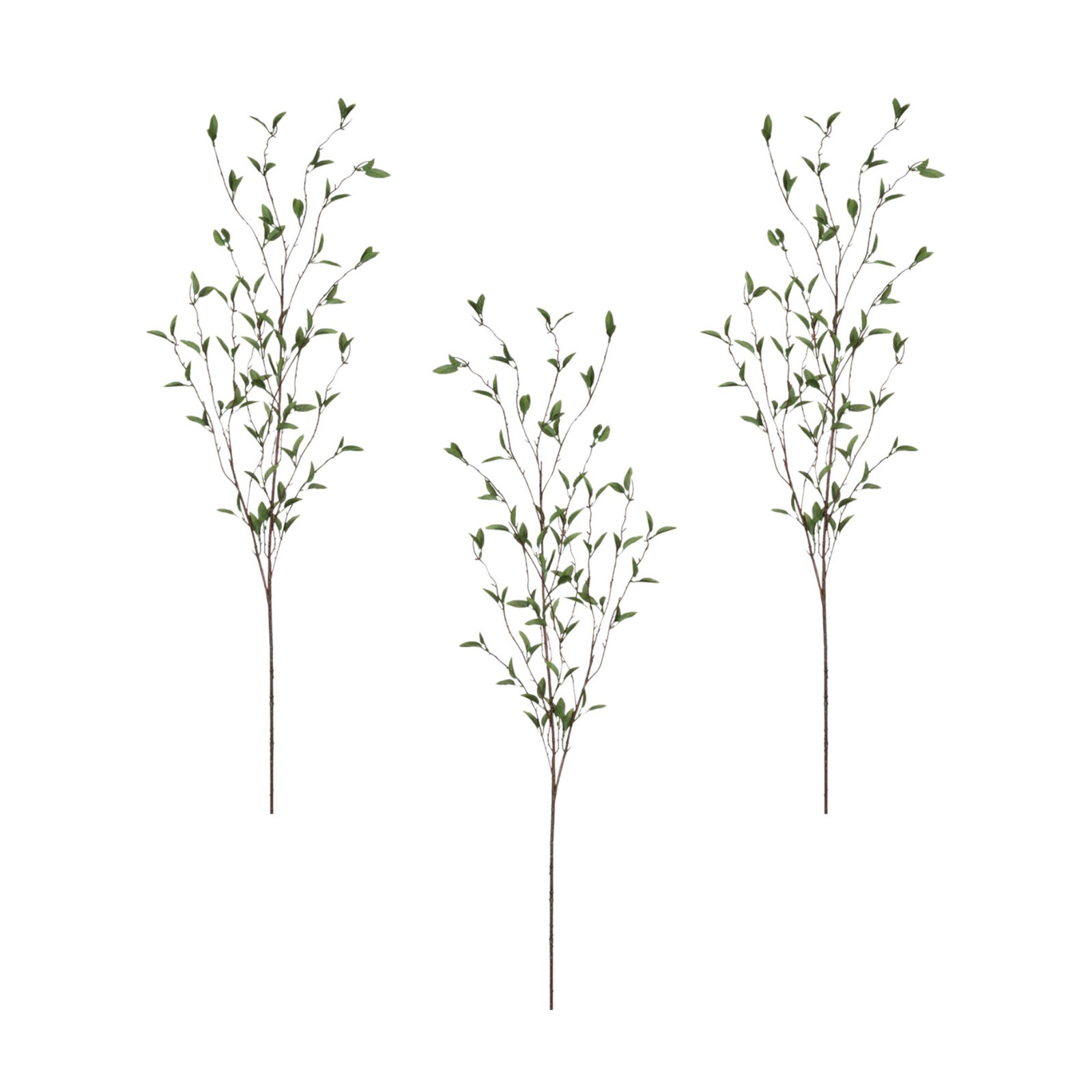 Foliage Arrangement