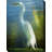 All-Weather Canvas Animals Wall Decor