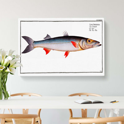 Sea-Pike Fish by M.E. Bloch - Wrapped Canvas