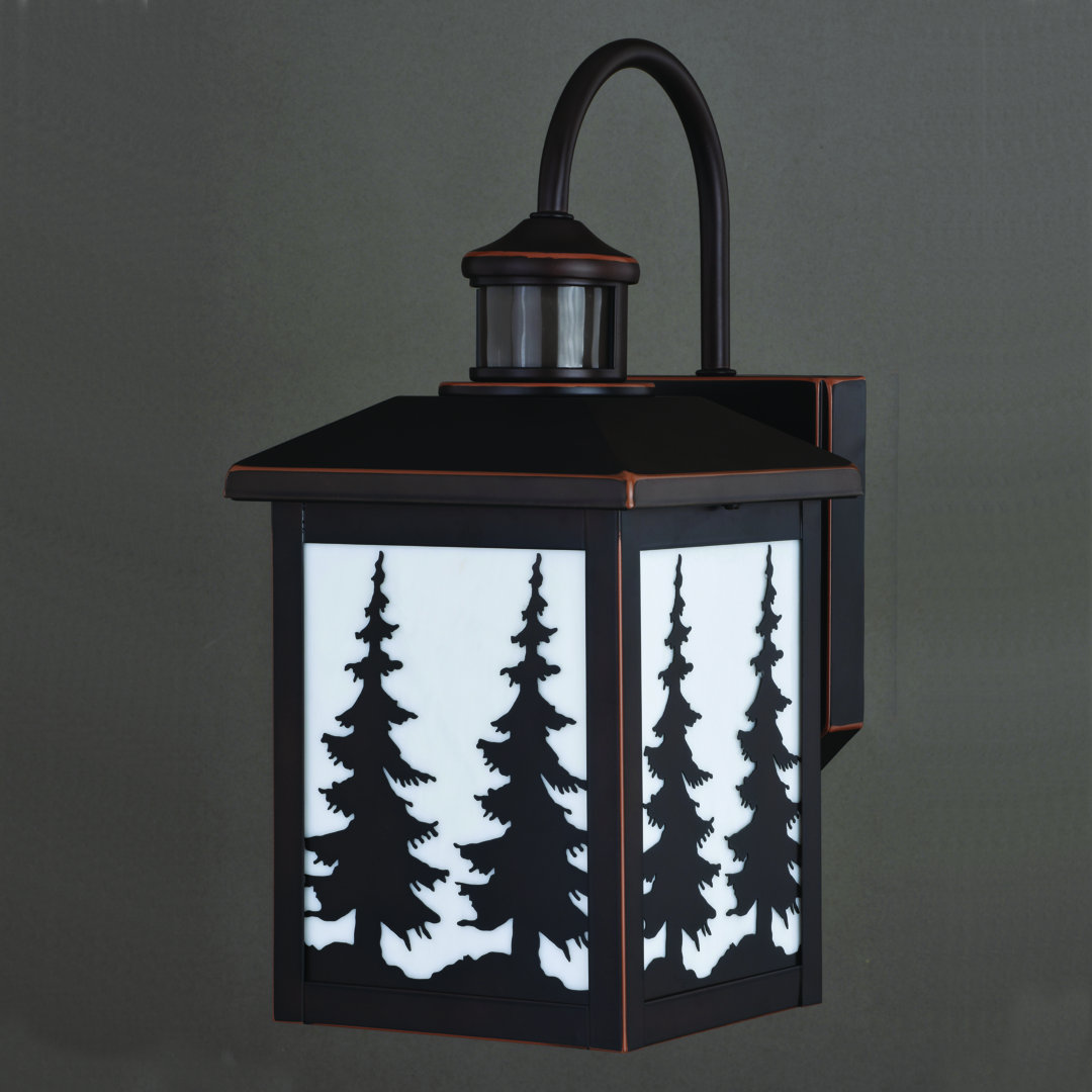 Leslee Steel Wall Light Loon Peak®