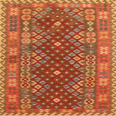 Oriental Indoor Rug
