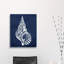 Navega Shell - Impression sur toile-22864841