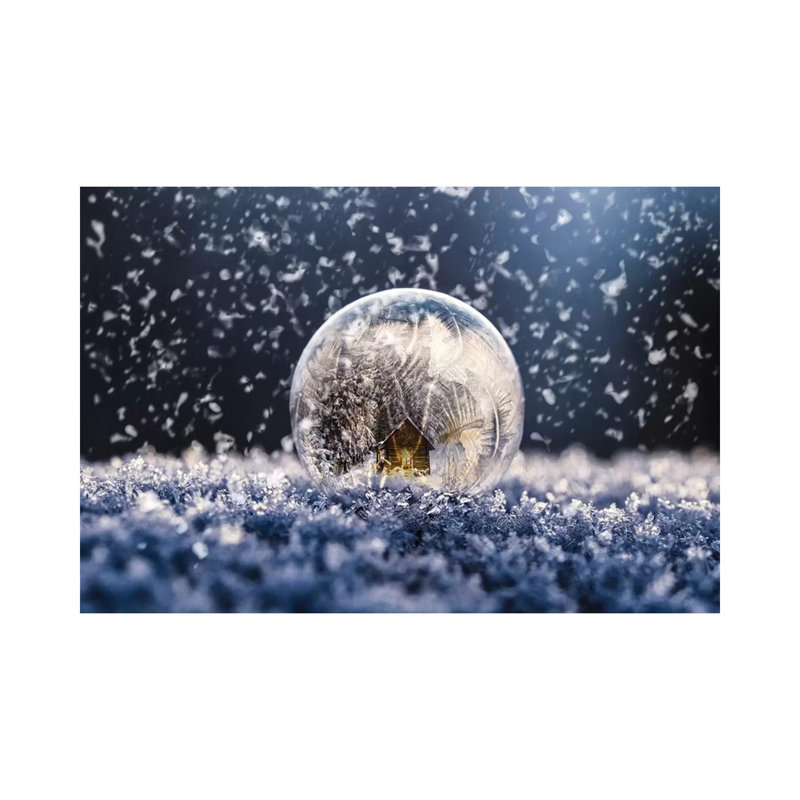 Snowglobe 1 Piece Wrapped Canvas Wall Art