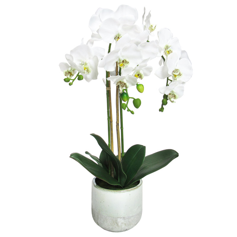 24 " Fabric and Silk Orchid Arrangement