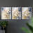 Floral Study  Series  CV  -Set Of 3 Framed Giclee Prints -Ready to Hang-103007048