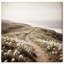 Blooming Path Landscape & Nature Canvas Print by Oliver Gal, Black Frame, 12 x 12-840433229-840433233