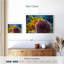 Sea Urchin-921147564