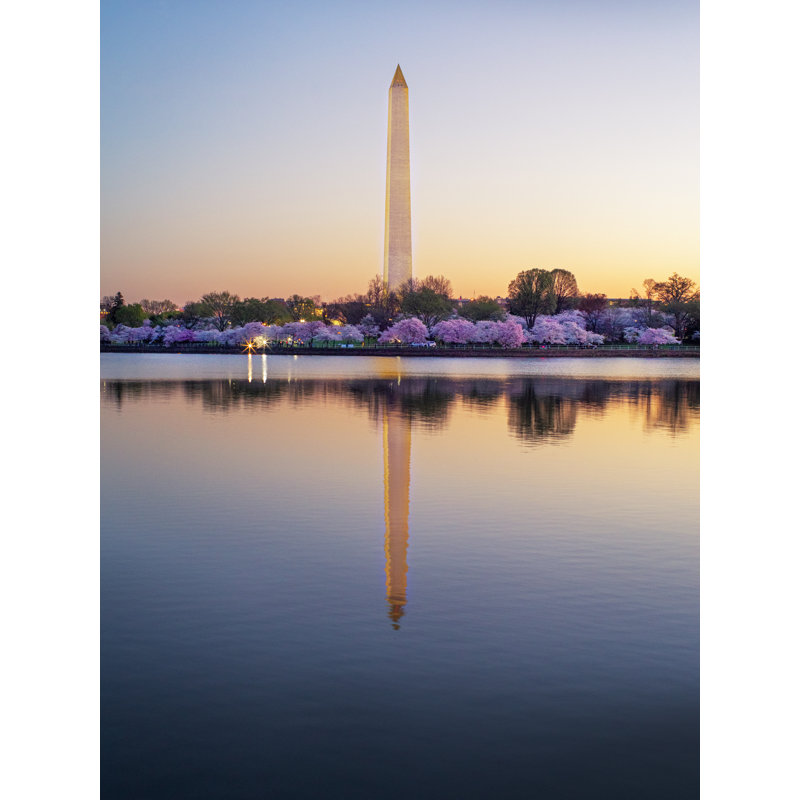 Printemps du matin à Washington, DC par Scott Wurzel, Papier avec cadre noir, H 20 po x l 16 po