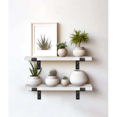 Chyane Piece Solid Wood Shelf