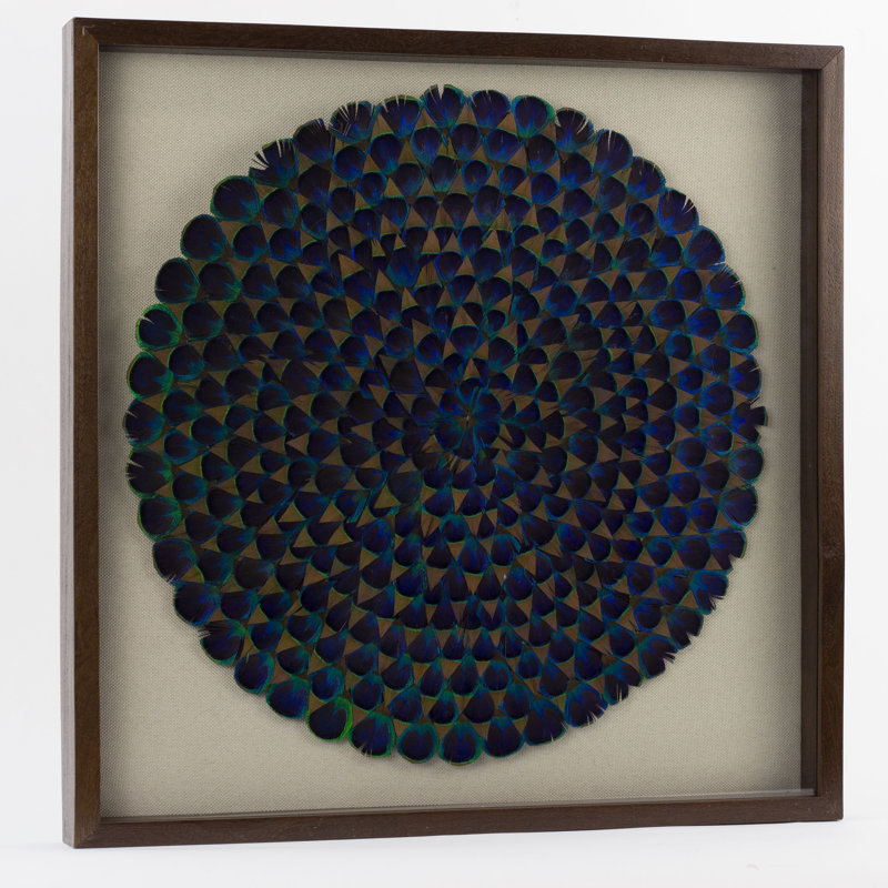 Natural Blue Peacock Feather Framed Wall Art