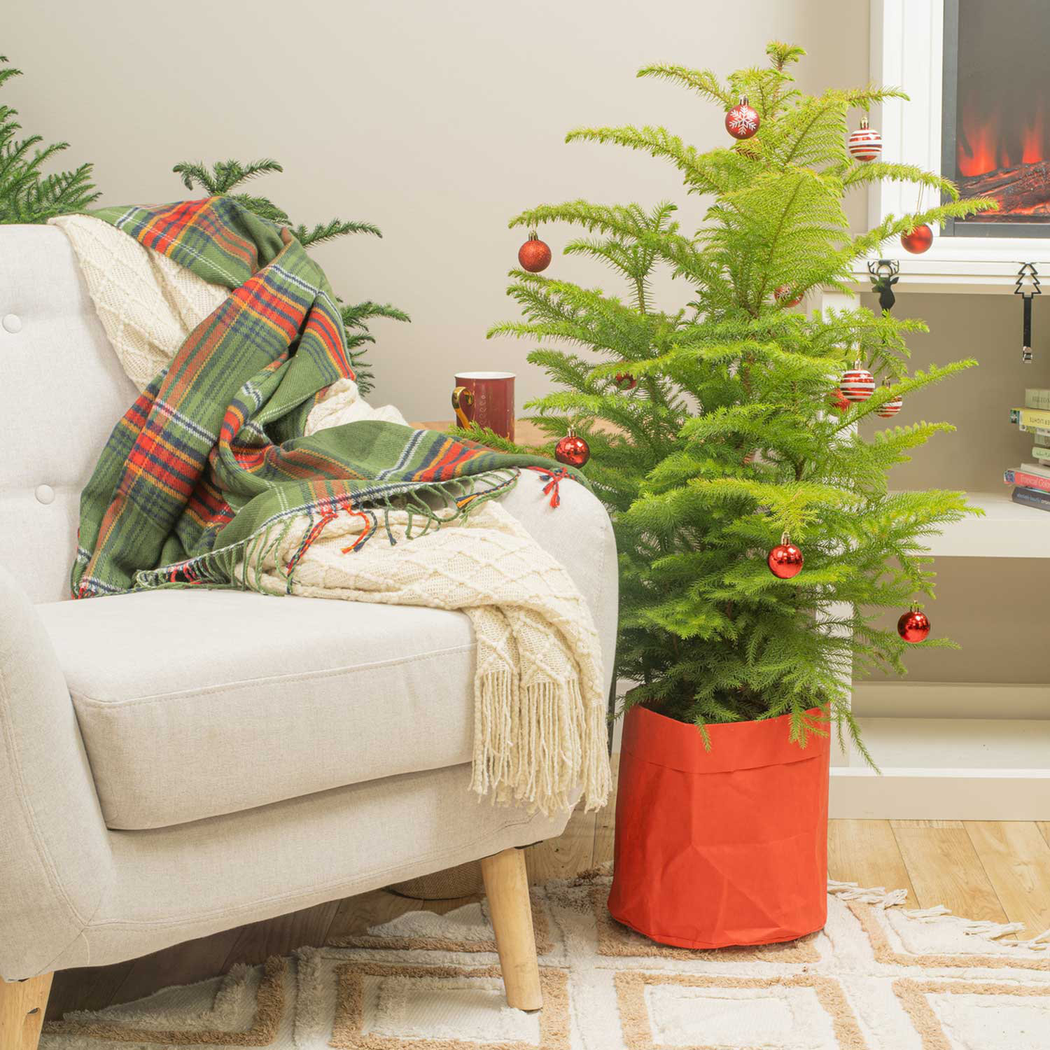 2.3' Pine Christmas Tree