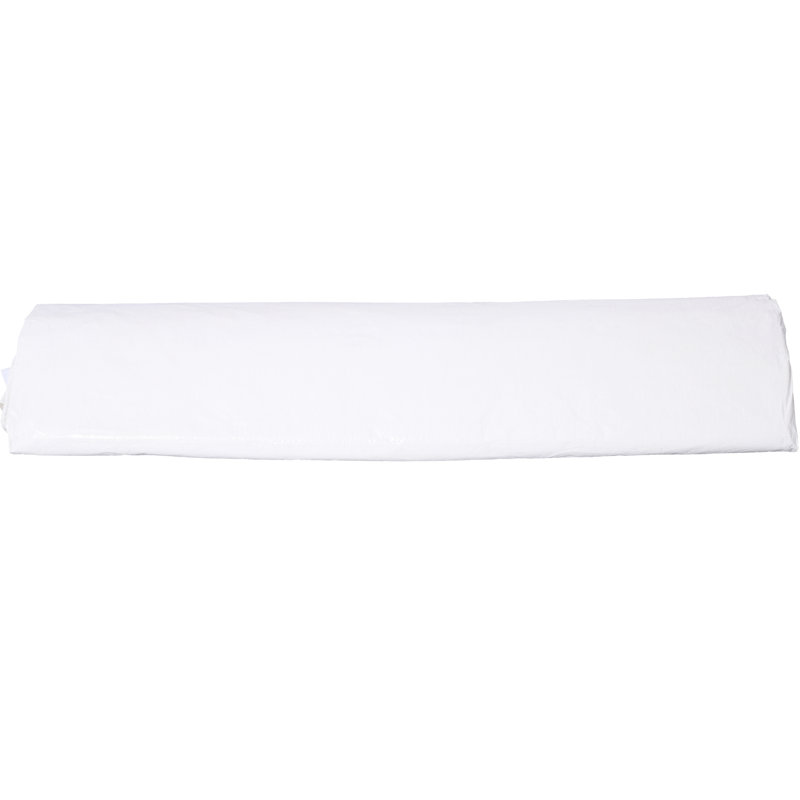 Abri d'auto robuste 10 pi x 20 pi, portatif avec 2 portes et 4 fenêtres ventilées, pour tondeuses à gazon, blanc, Blanc