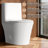 BCANHOME Modern One Piece Toilet With Dual-flush Siphon Jet, 12 Rough In ,Soft-Close Seat & Lid, Minimalist Space-Saving Design