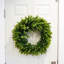 Couronne de plastique eucalyptus 21 po