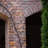LED Climbing Vine Lighted Trees & Branches-783870314