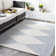 Tapis intérieur / extérieur gris Jaceyon