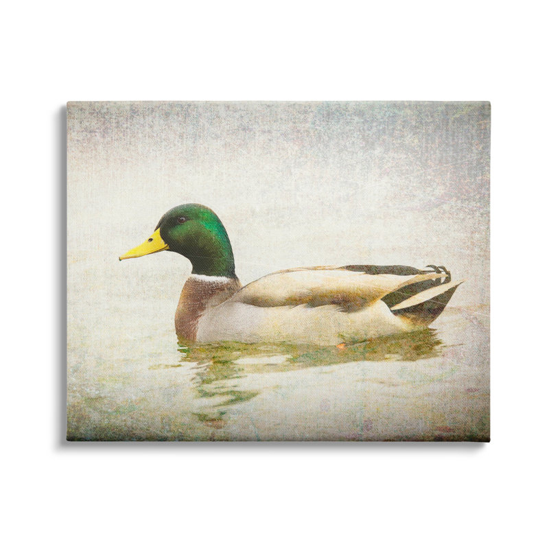 «Peaceful Mallard Duck Bird», eau détaillée par Daniel Sproul, L 20 po x H 16 po, Toile tendue