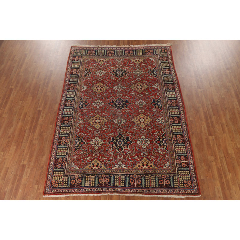 Antique Vegetable Dye Traditional Living Room Rug 7x10