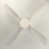 White with Off White Blades is out of stock