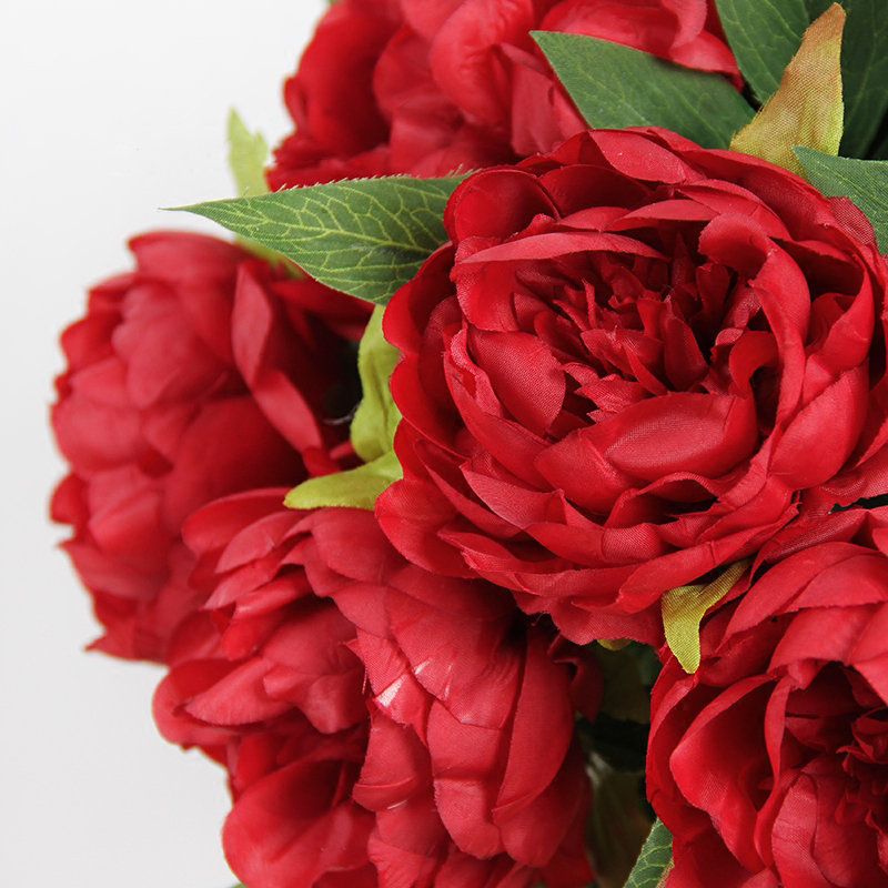 Tiges de pivoine en soie, blanc, 1 tige