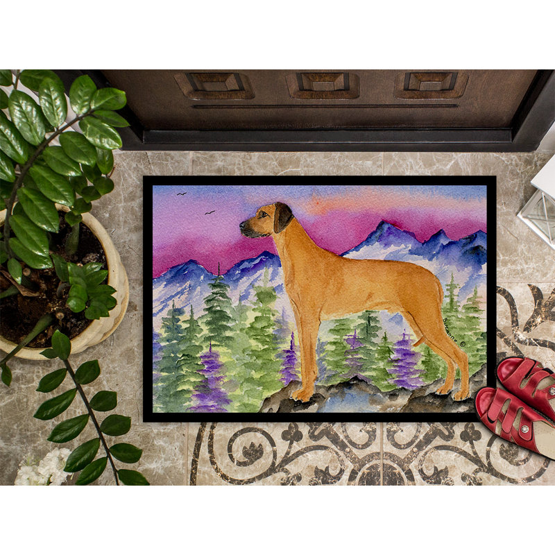 Tapis d'entrée antidérapant, Rectangle 2 pi x 3 pi