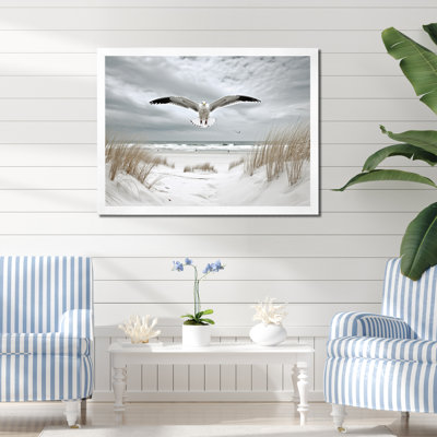 " Beach Yellow Seagulls In "