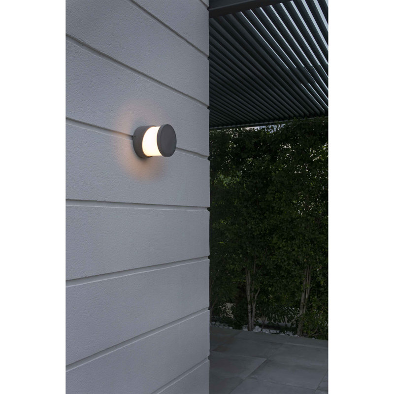 Avni Grey 14.7cm H Frosted Glass Outdoor Armed Sconce