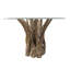 Sandbach Round Glass Top Solid Wood Base Dining Table