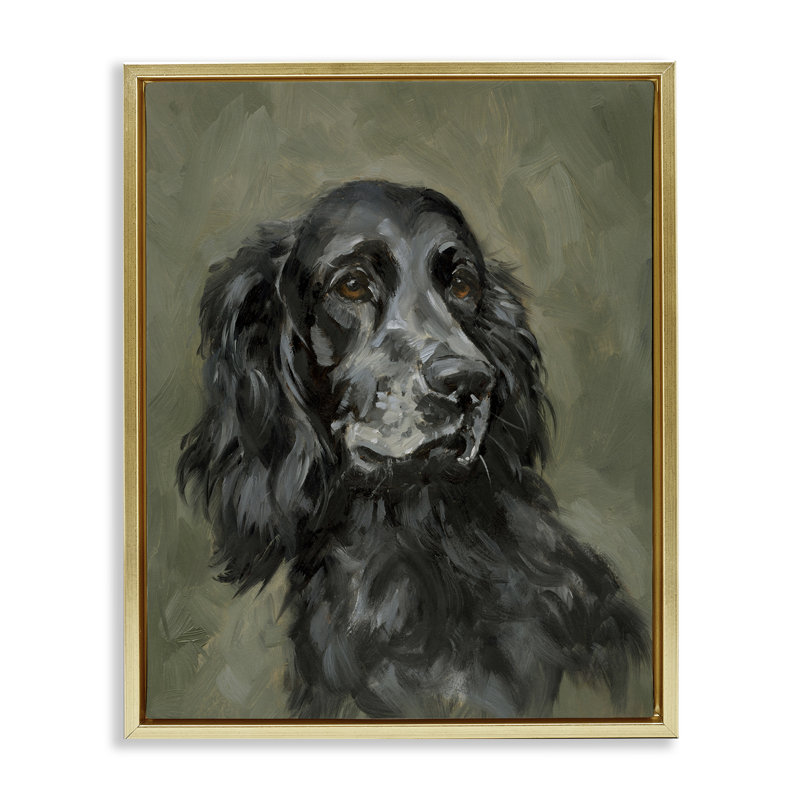 «Black Cocker Spaniel» par Victoria Barnes, Cadre flottant métallique doré, H 21 po x l 17 po