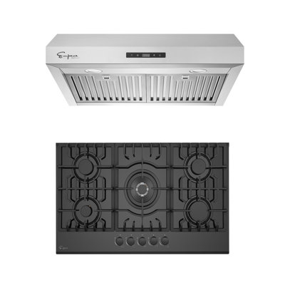 2 Piece Kitchen Package With 30" Gas Cooktop, and 30" Ducted Under Cabinet Range Hood
