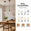 - Light Pendant-439518891